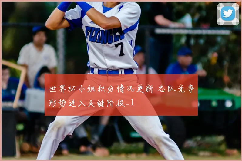 世界杯小组积分情况更新 各队竞争形势进入关键阶段_1